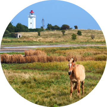 Horse and Lighthouse van Jörg Hausmann