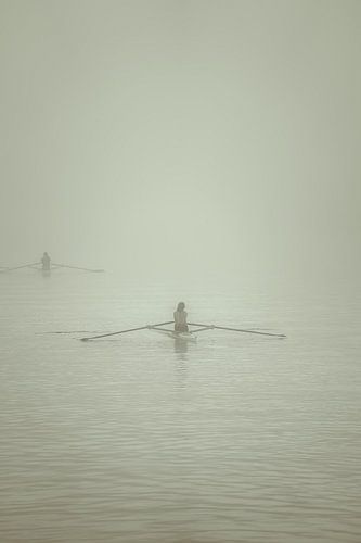 Rowers in the fog
