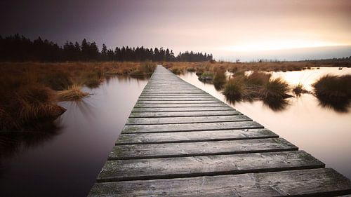 Zonsondergang op het veen