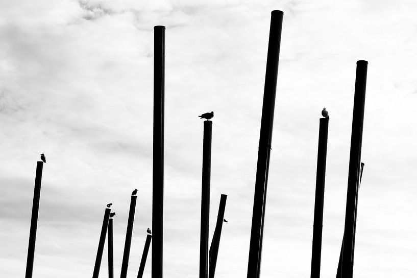 Rust van Lieke Doorenbosch