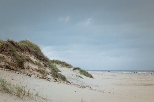 Dunes de Texel