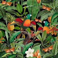 In Parrot Paradise