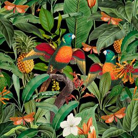 In Parrot Paradise van Andrea Haase