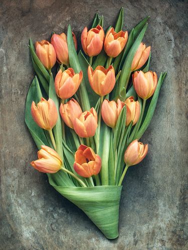 Tulpen bedje