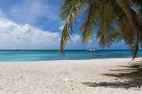 Een mooi paradijs strand met palmboom op de voorgrond