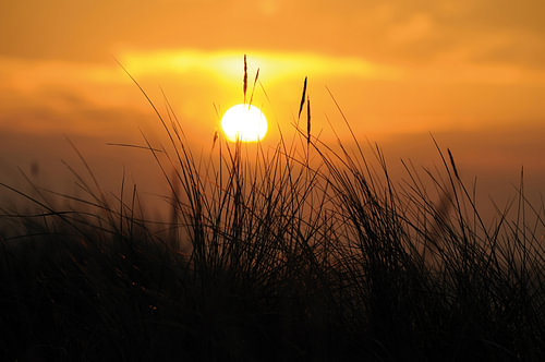 Zonsondergang in de duinen van Vlieland