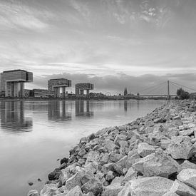 On the banks of the Rhine in Cologne black and white by Michael Valjak