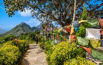 Flag and flowers in Nepali mountain village. by Floyd Angenent