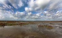 Marker Wadden
