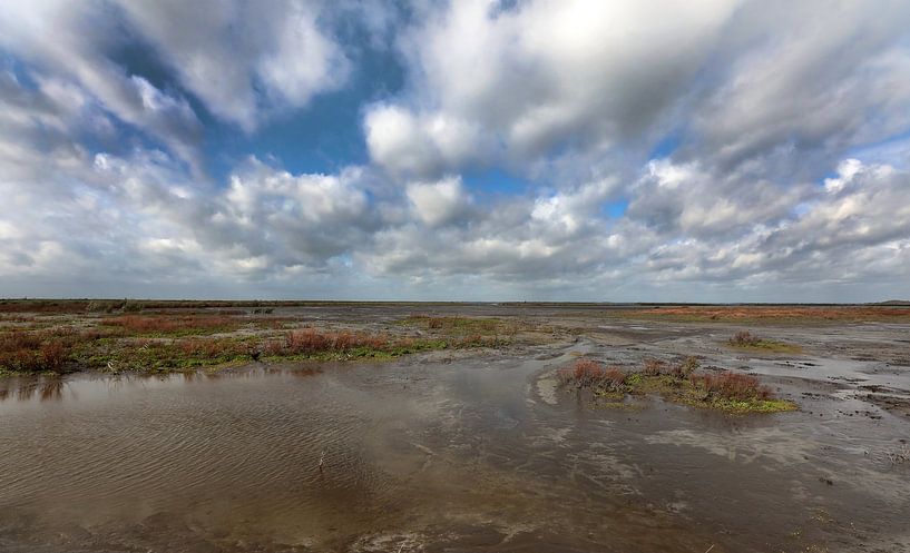 Marker Wadden by Jacques van der Neut