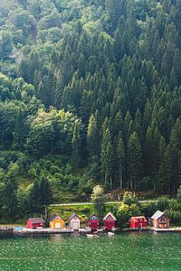 Fjords norvégiens à Vik, Norvège