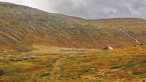 Islande 14
