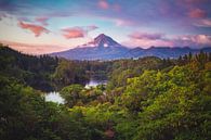 Nieuw-Zeeland Lake Mangamahoe met Mount Taranaki van Jean Claude Castor thumbnail