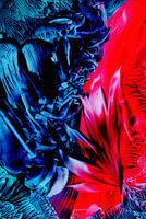 Mindful Colors 41
