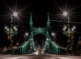 Liberty Bridge Budapest by Mario Calma