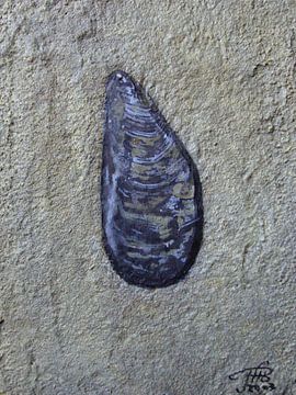 Mossel van henry de haan