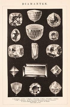 Antieke gravure Diamanten van Studio Wunderkammer