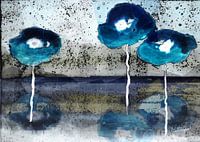 Poppies