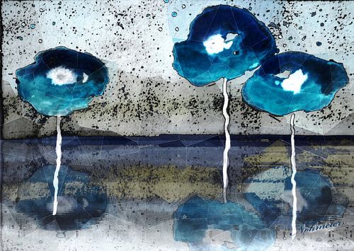 Coquelicots sur Christine Nöhmeier