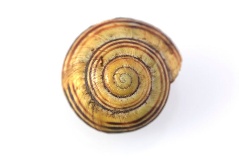 Swinging by Thomas Jäger