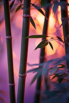 Bamboo in soft light by Poster Art Shop