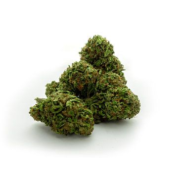 CBD Cannabisbloesem van Felix Brönnimann