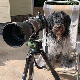 Leon Huurman Profile picture