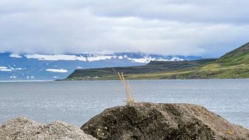 Isafjördur, IJsland, motief 3 van zam art