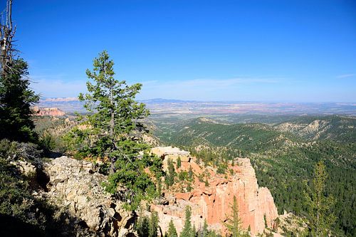 Looking left at Farview Point