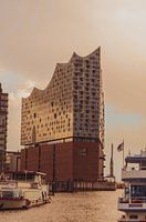 SUNNY ELPHI