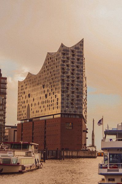 SUNNY ELPHI von Lara Katharina Kordes