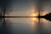 Reflectie van zonlicht en bomen in het water 2