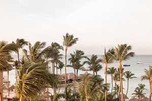 Les palmiers à la main sur Aruba sur Henrike Schenk