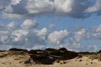 Morgensonne auf dem Balloërveld