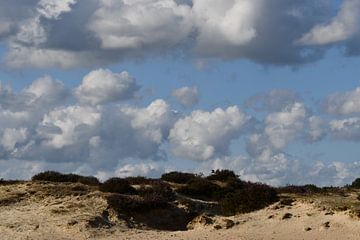 Zandverstuiving met heide en wolken van Bernard van Zwol
