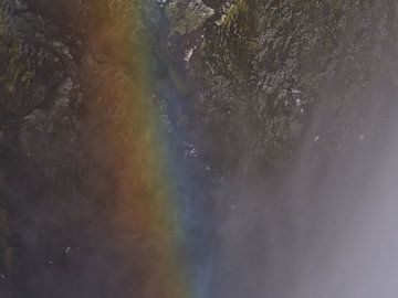 Regenboog in de nevel van Timon Schneider