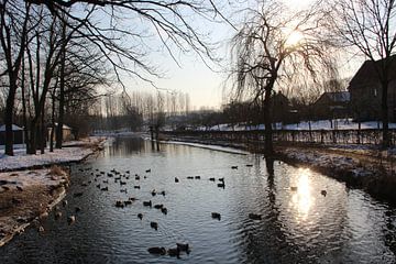 Vijver bij zonsondergang van Nicole Wetzels