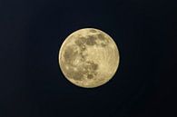 Volle maan in de donkere winternacht van Sjoerd van der Wal Fotografie thumbnail