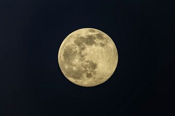 Volle maan in de donkere winternacht van Sjoerd van der Wal Fotografie