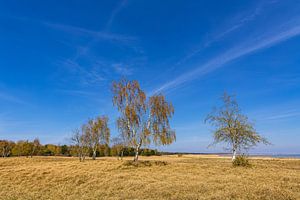 Paysage sur le Gellen sur l'île de Hiddensee sur Rico Ködder