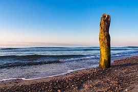 Buhnen an der Küste der Ostsee bei Kühlungsborn van Rico Ködder