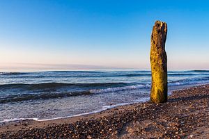 Buhnen an der Küste der Ostsee bei Kühlungsborn