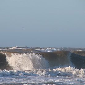 Vagues sur Corinna Vollertsen