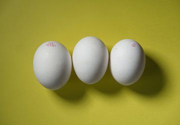 3 witte biologische eieren op gele achtergrond van Wolfgang Unger