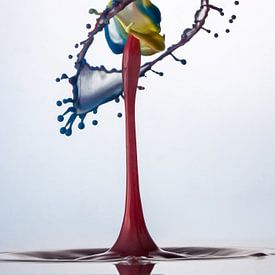 Liquid ART - XXL van Stephan Geist