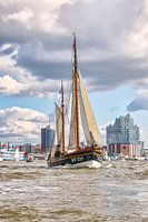 Hamburg - Traditional ship in front of the Elbe Philharmonic Hall