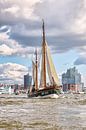 Hamburg - Traditional ship in front of the Elbe Philharmonic Hall by Sabine Wagner thumbnail
