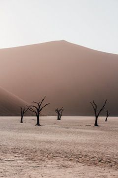 The Deadvlei in Sossusvlei National Park, Namibia by Maartje Kikkert