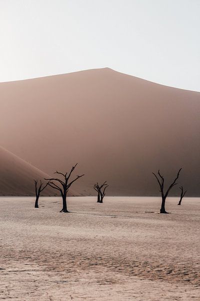 Les Deadvlei dans le parc national de Sossusvlei, Namibie par Maartje Kikkert