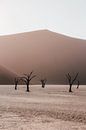 De Deadvlei in Sossusvlei Nationaal Park, Namibië van Maartje Kikkert thumbnail